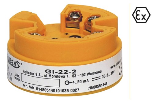GI-22.jpg